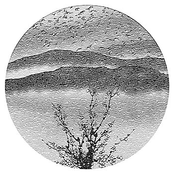 rong bach kim 88