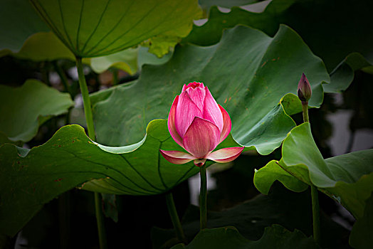 xsmb thu 3 hang tuan