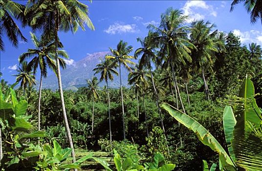xổ số kiến thiết quảng ngãi