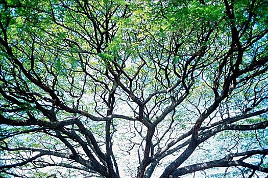dự đoán kết quả xổ số miền bắc đại phát