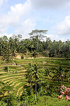 xổ số phú yên hàng tuần