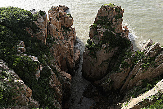 soi cau lo hai nhay rong bach kim