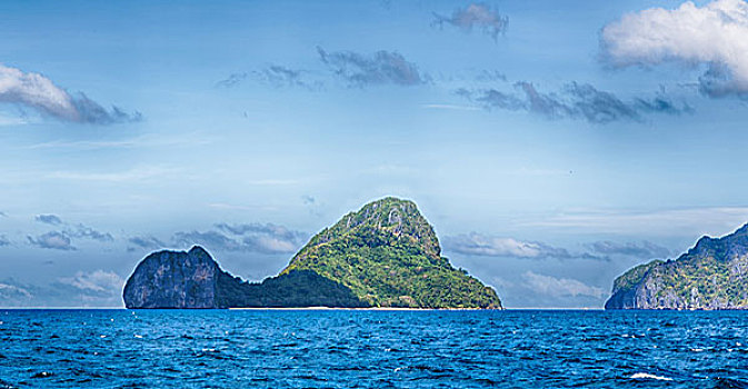 bach thu soi cau