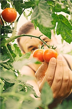 soi cầu miễn phí