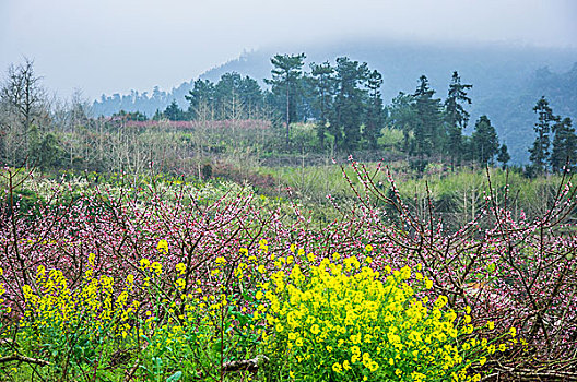 xs tây ninh