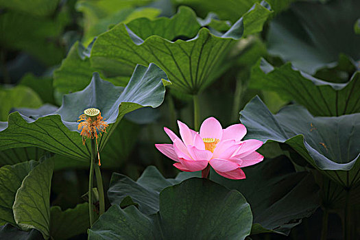 xổ số miền bắc hàng tháng