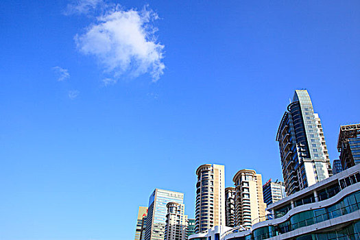 soi cau thuan vu