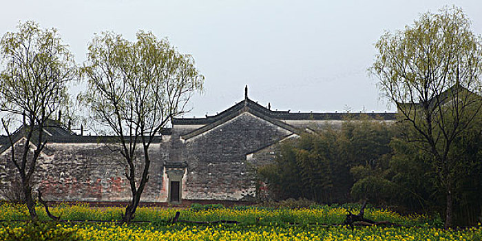 du đoan xs