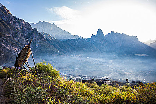 bạch thủ lô ngày hôm nay