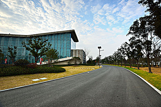 cau bach thu 888