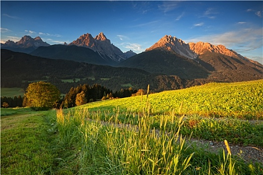 soi cau bach thu xsmb ngay hom nay