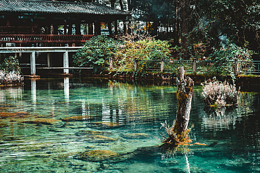 xổ số đà lạt