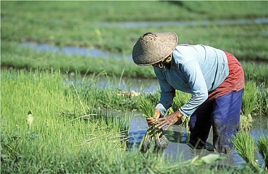 xổ số miền bac hôm nay