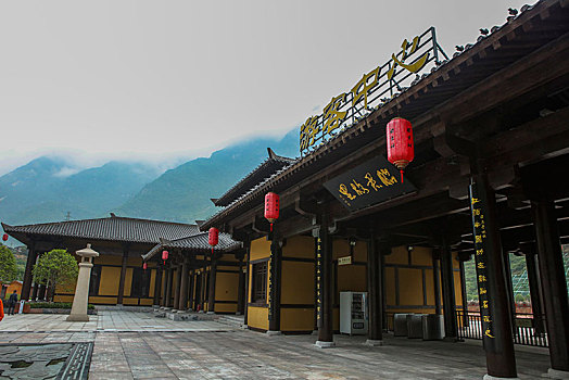 soi câu 88