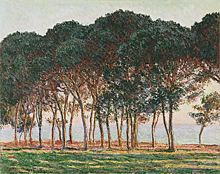 3 càng