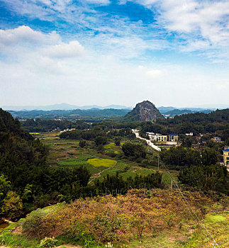 soi cau rong bach kim 88
