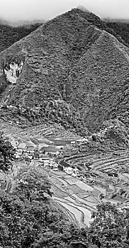 soi cau 4 so