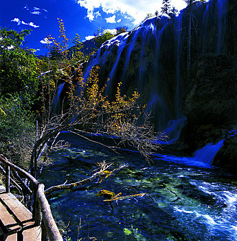 lo bach thu khung 3 ngay mien phi