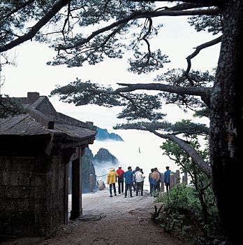 tỉ lệ ăn 3 càng