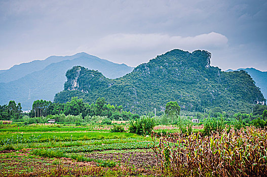 soi cau lo de mien bac hom nay mien phi