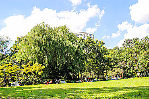 đề chuẩn