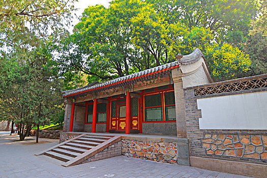 bạch thủ lô khung 3 ngày miễn phí