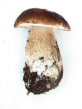 xổ số bình phước