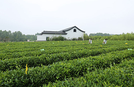 thống kê xổ số vũng tàu