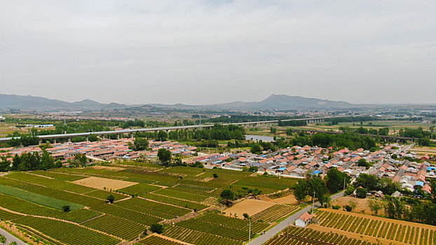 cách soi cầu lô