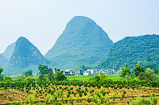 cau lo rong bach kim