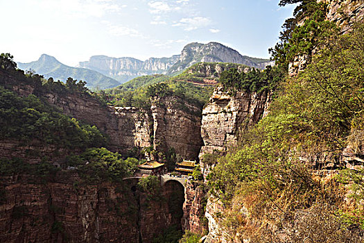soi cau binh dinh vina24h