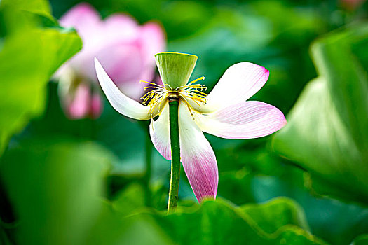 xổ số miền nam thứ 4