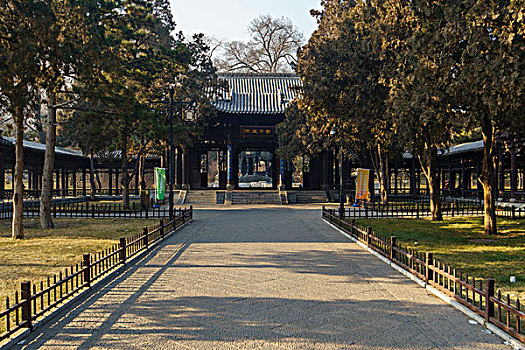 xs hai phong
