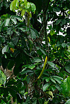 con lô đẹp hôm nay