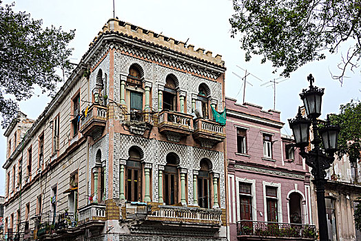 lo bach thu khung 3 ngay mien phi