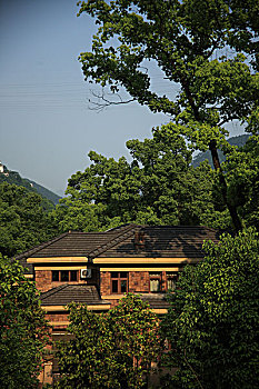 soi cau de bach thu hom nay