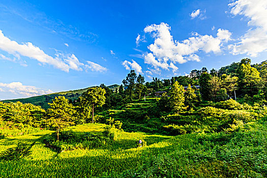 cầu lô hôm nay
