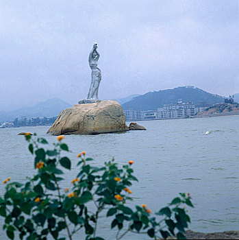 cau lo de