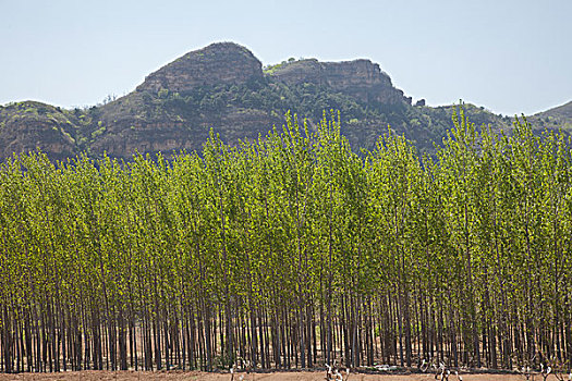 soi cau du doan xo so mien nam