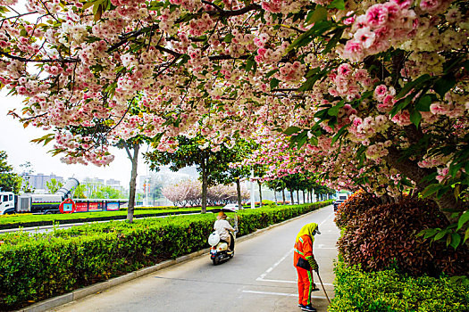 xs quảng nam