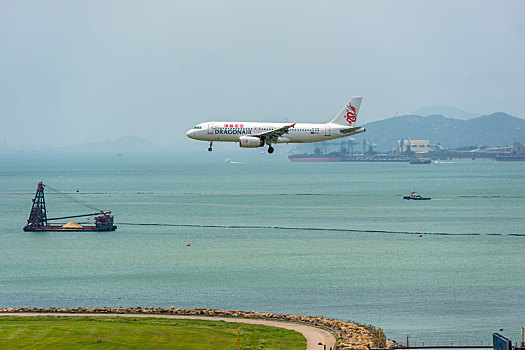soi cau 8785