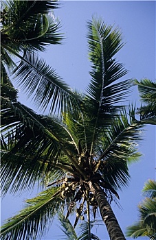 xổ số tuần rồi
