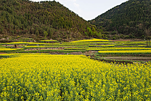 du doan trung thuong xo so mien nam