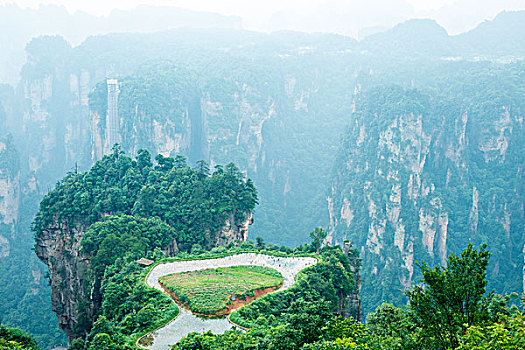 cau bạch thu xsmb