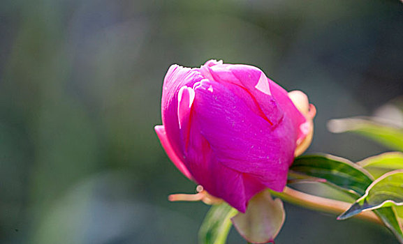 dự đoán bạch thủ đề hôm nay
