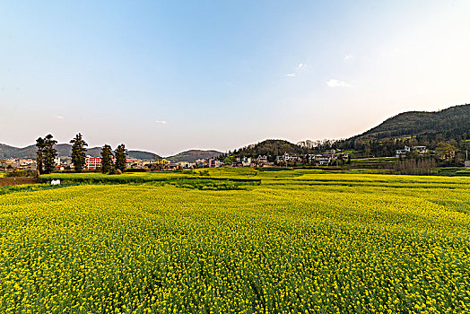 dự đoán xổ số trà vinh hôm nay