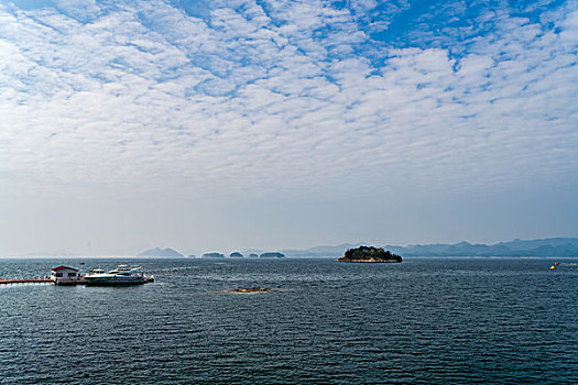 soi cầu thuận vũ