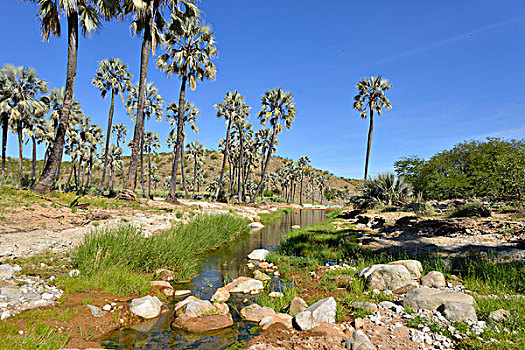 du doan xo so gia lai chinh xac 100