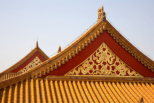cường đại phát 6868