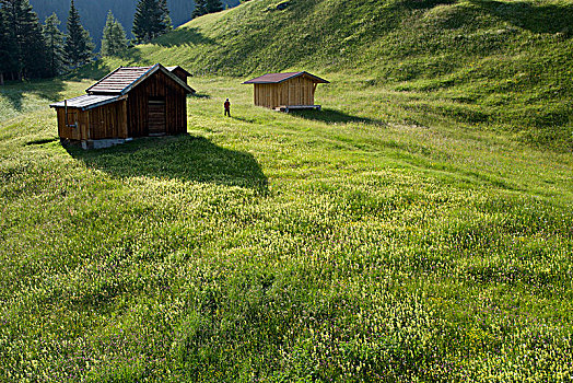 caothuchotso